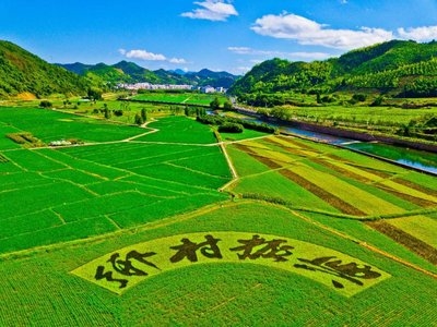 鄉(xiāng)村振興工作動(dòng)態(tài) (第144期)