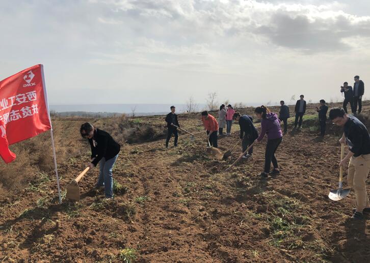 1554695698305525.jpg 1554695698305525.jpg