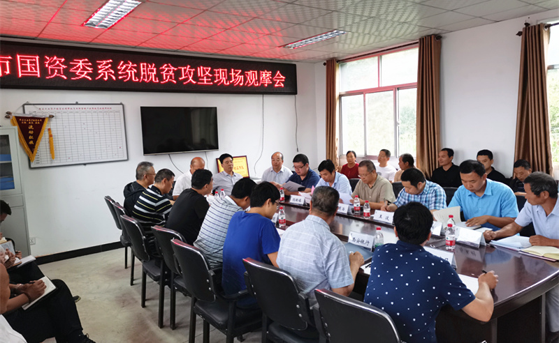 1566379337106809.jpg 1.jpg