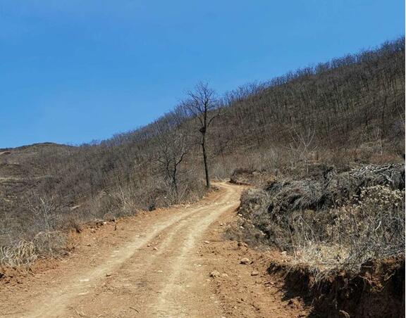 1567675384977682.jpg 1567675384977682.jpg